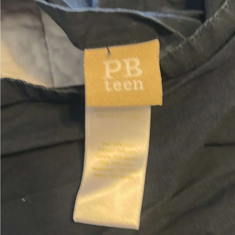 Pottery Barn Standard Striped Blue Quilted pillow Shams - Picture 4 of 5